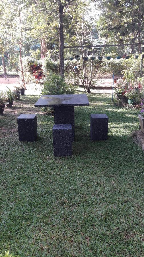 Habarana New Star Homestay Buitenkant foto