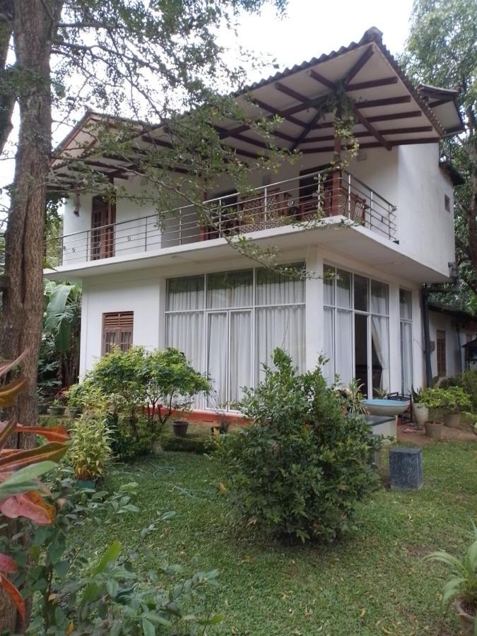Habarana New Star Homestay Buitenkant foto