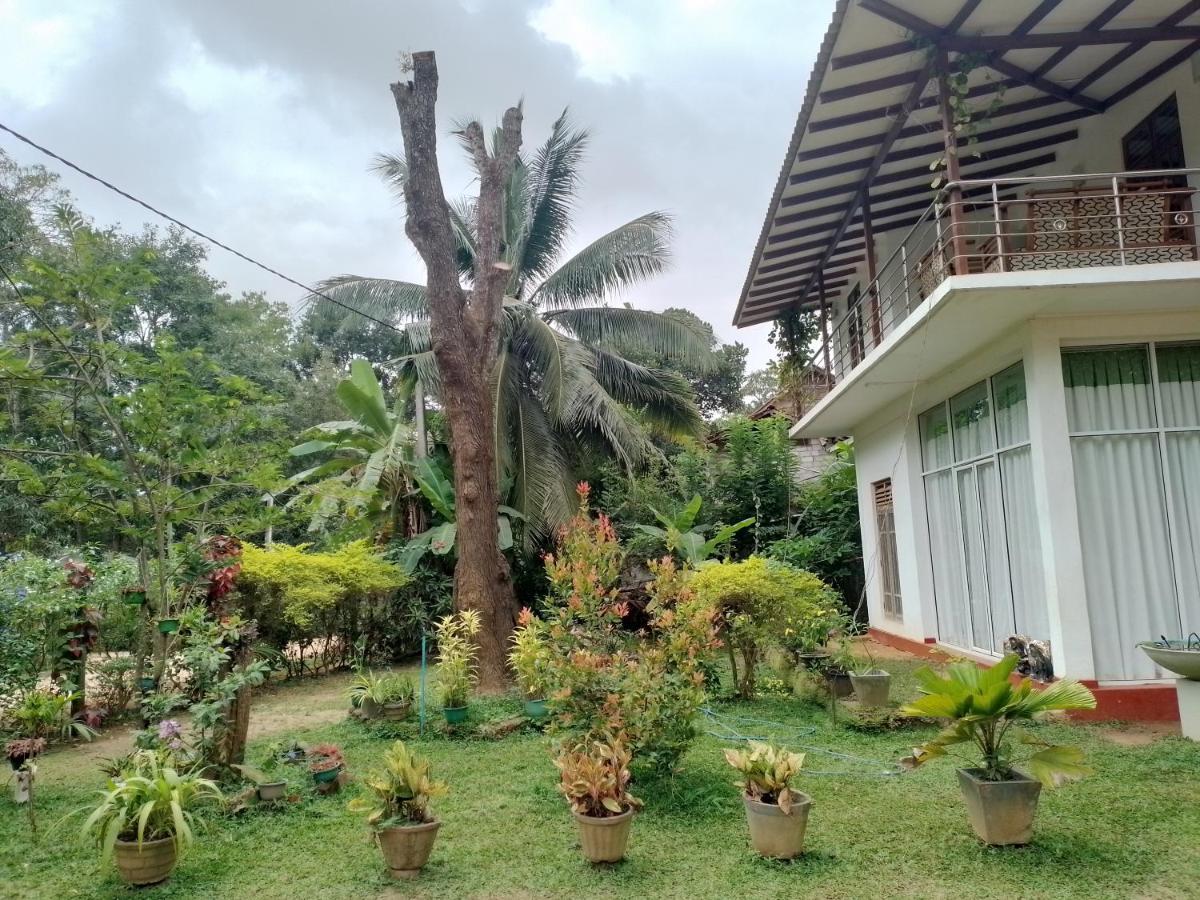 Habarana New Star Homestay Buitenkant foto
