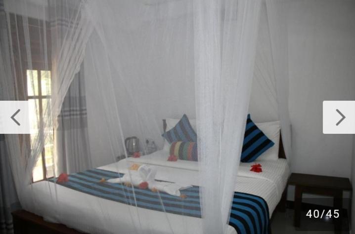 Habarana New Star Homestay Buitenkant foto