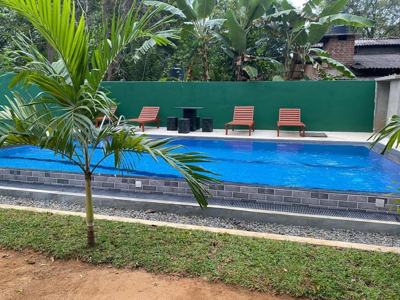 Habarana New Star Homestay Buitenkant foto